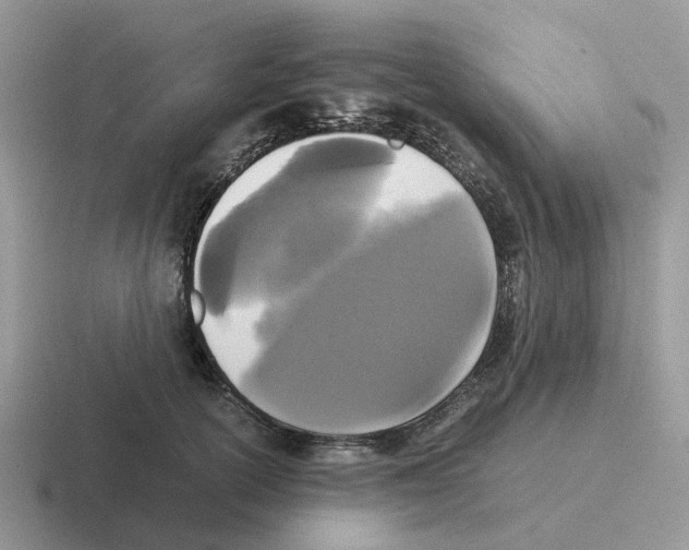 X0000116560754201001071135