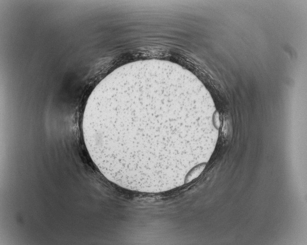 X0000116560771201001071134