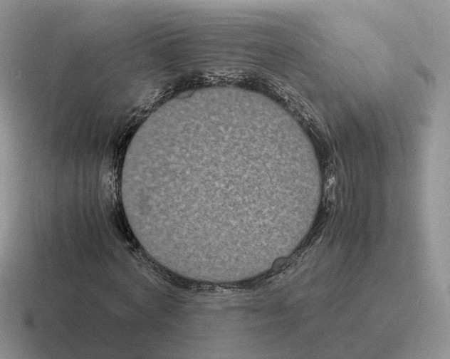 X0000116560772201001071134