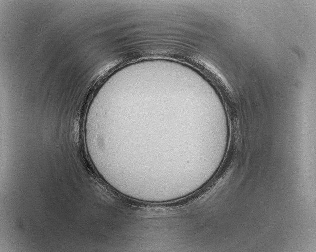 X0000116560777201001071134