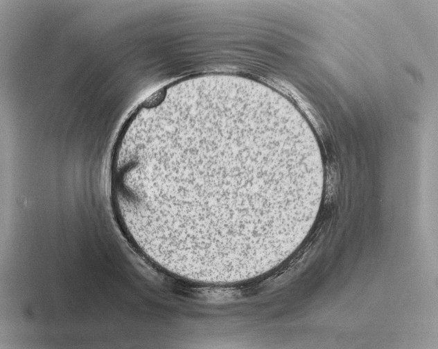 X0000116560795201001071134
