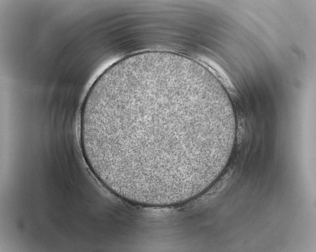X0000116560804201001071134