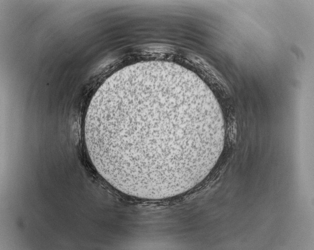 X0000116560821201001071133