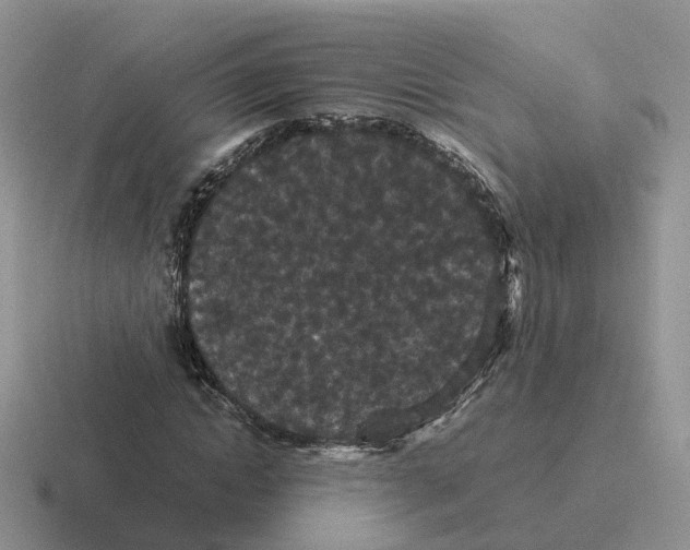 X0000116560822201001071133
