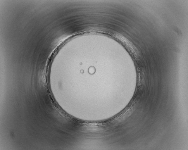 X0000116560828201001071133
