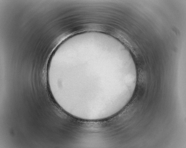 X0000116560836201001071133