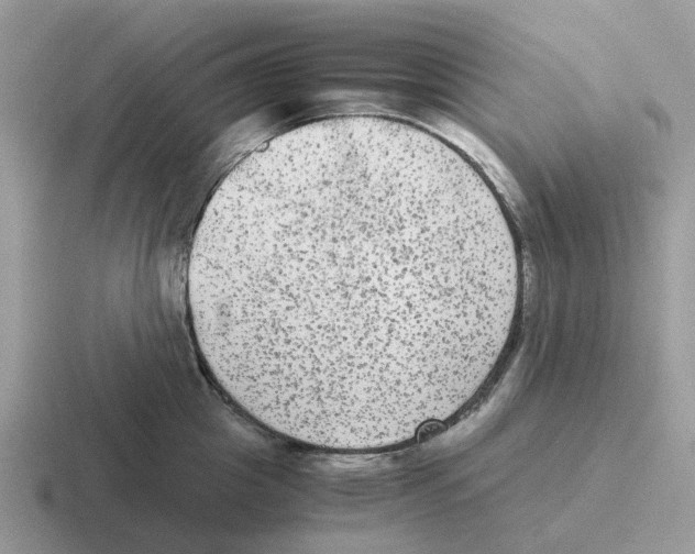 X0000116560857201001071134