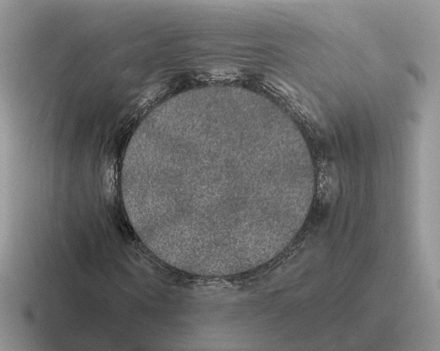 X0000116560866201001071133