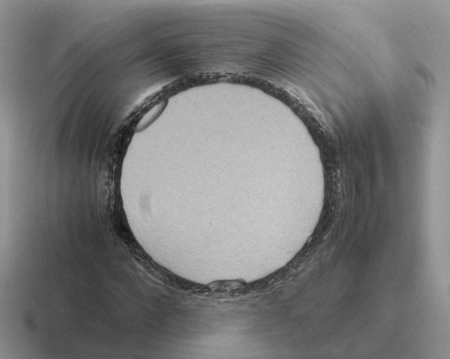 X0000116560872201001071133