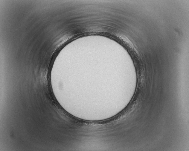 X0000116560873201001071133