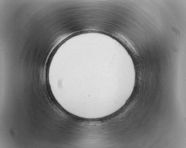 X0000116560884201001071133