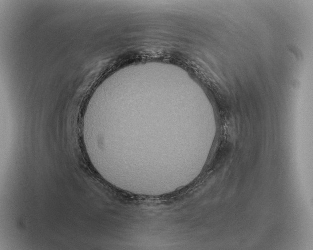 X0000116560961201001071132
