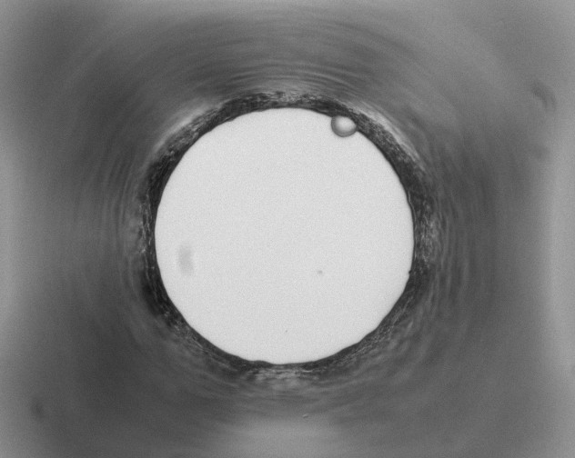 X0000116560967201001071132