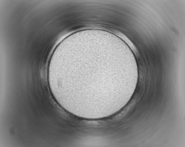 X0000116561004201001071131