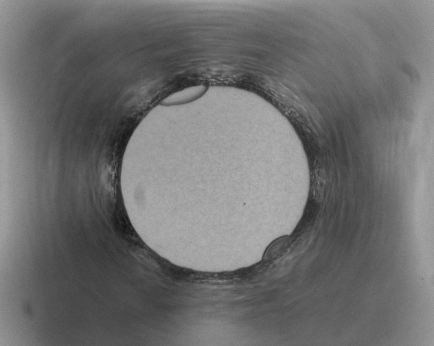 X0000116561010201001071131