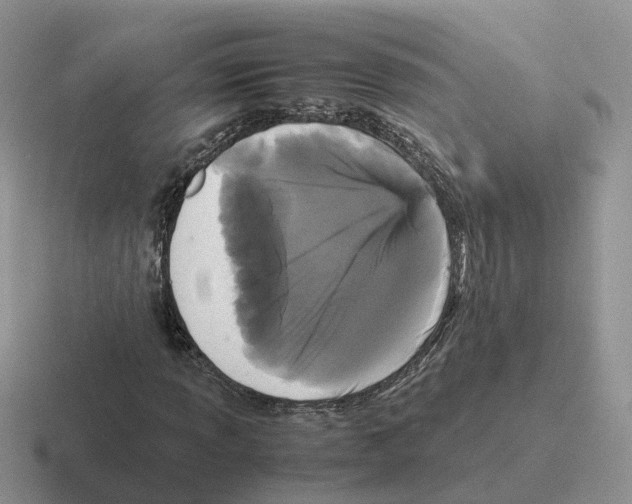 X0000116561013201001071131