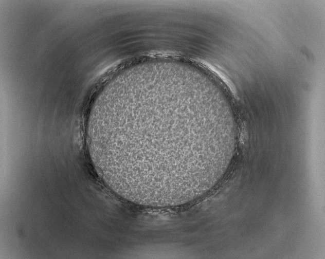 X0000116561015201001071131