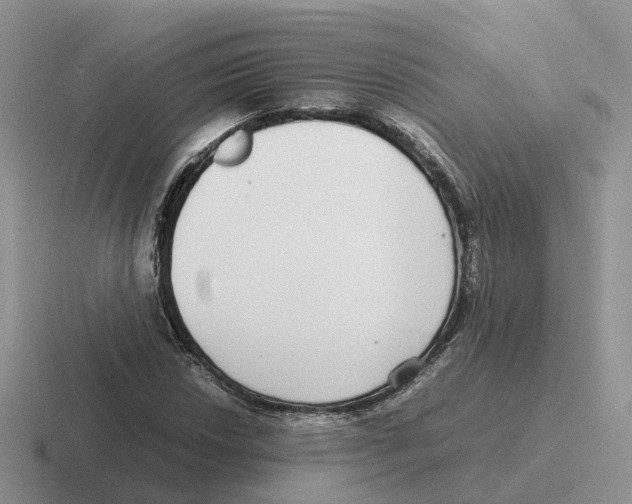 X0000116561018201001071131
