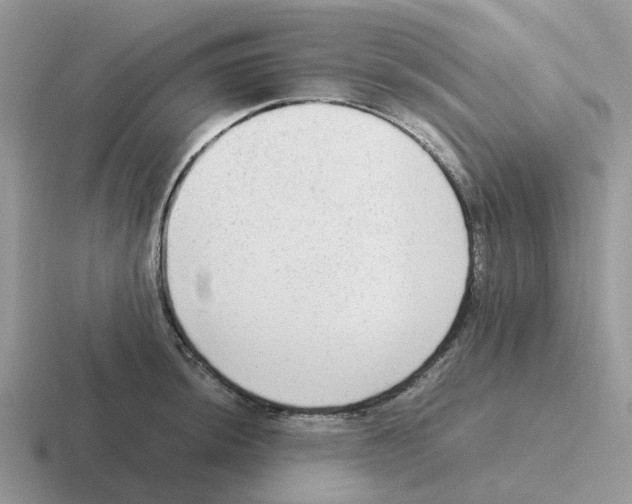 X0000116561044201001071131