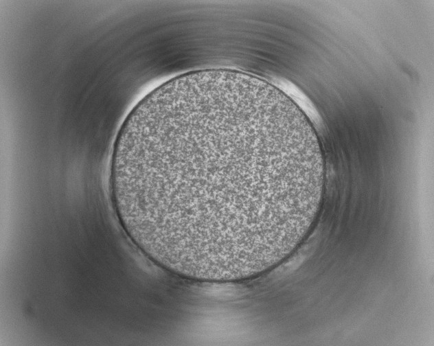 X0000116561052201001071131