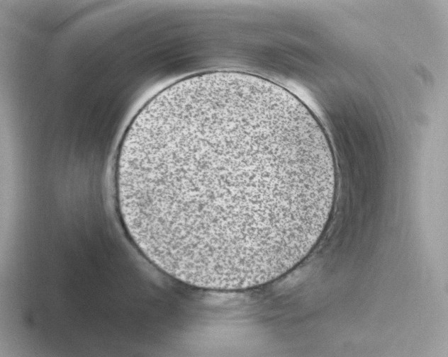 X0000116561056201001071131
