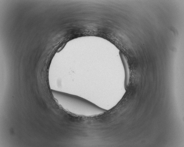 X0000116561057201001071131