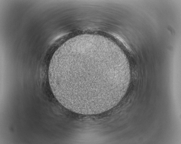 X0000116561063201001071131