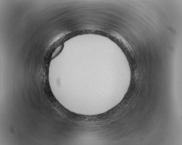 X0000116561064201001071131