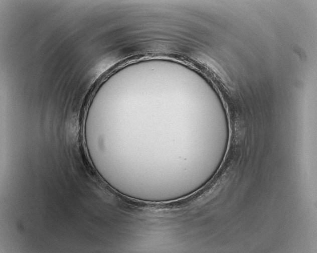 X0000116561065201001071131