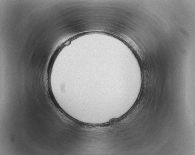 X0000116561072201001071131