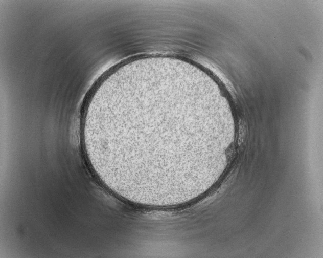 X0000116561075201001071131