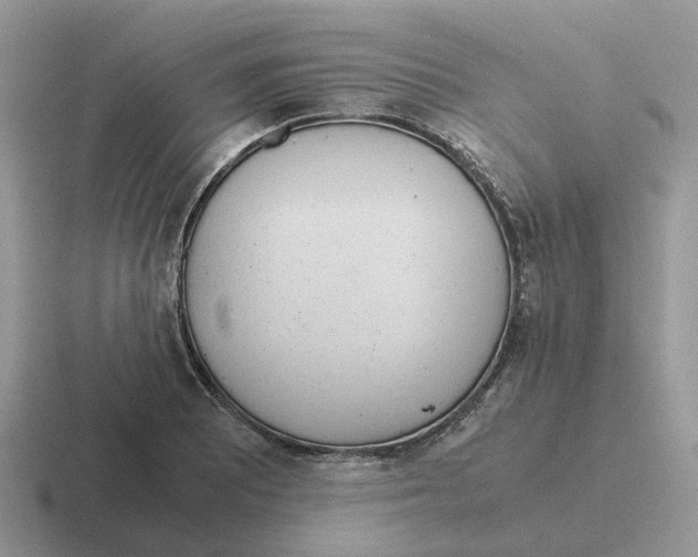 X0000116561081201001071130