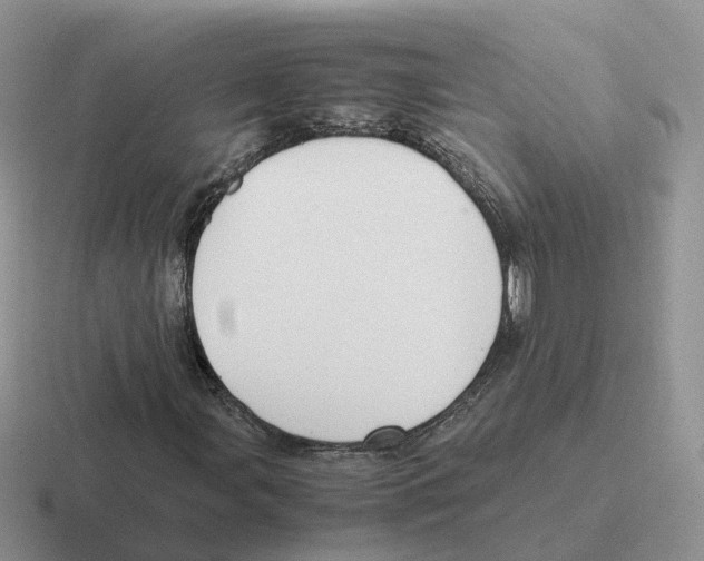 X0000116561107201001071130