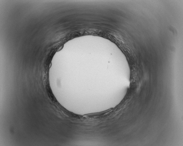 X0000116561109201001071130