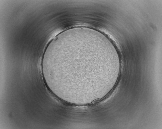 X0000116561137201001071130
