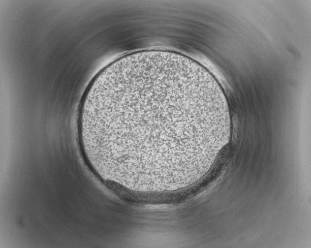 X0000116561142201001071130