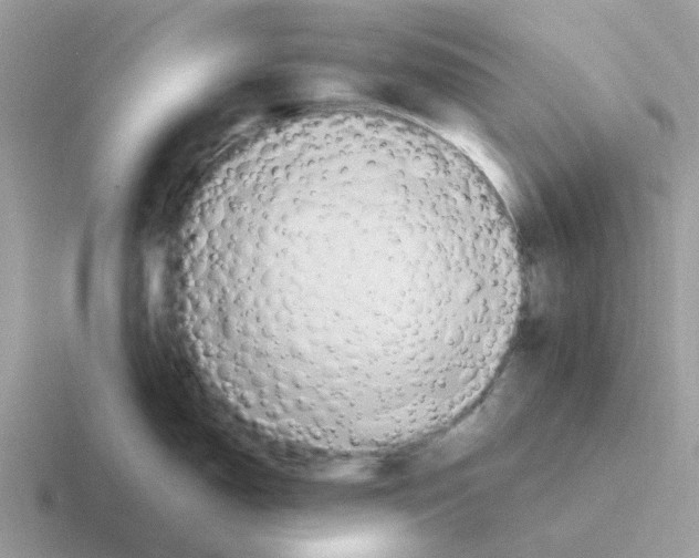 X0000116561150201001071130
