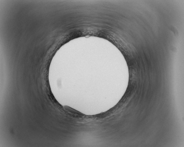 X0000116561153201001071130
