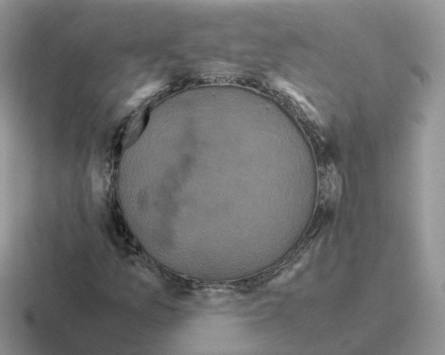 X0000116561157201001071130