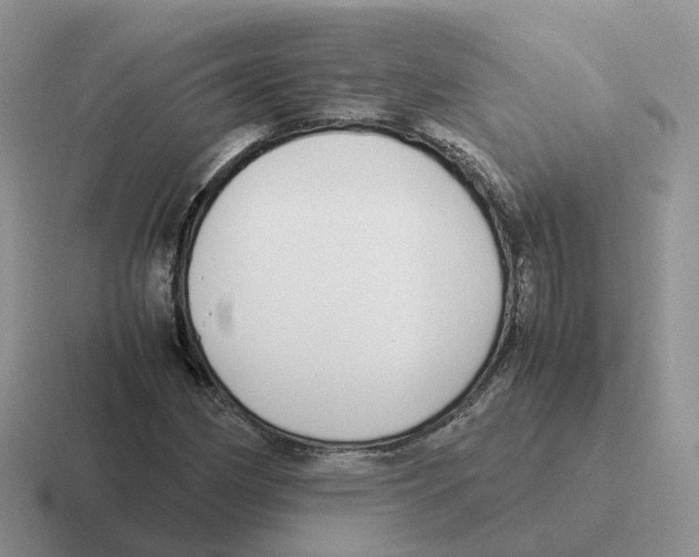 X0000116561162201001071129