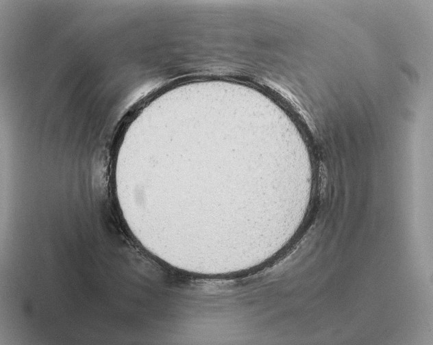 X0000116561163201001071129