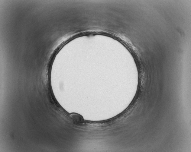 X0000116561167201001071129