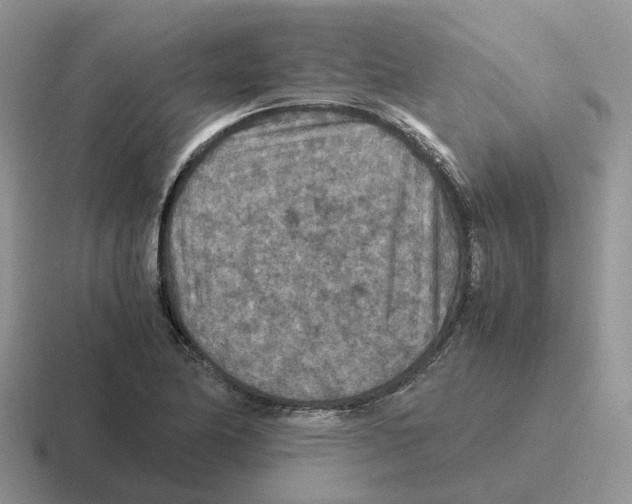 X0000116561174201001071129