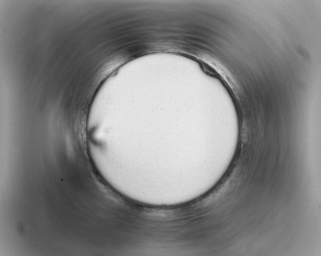 X0000116561241201001071129