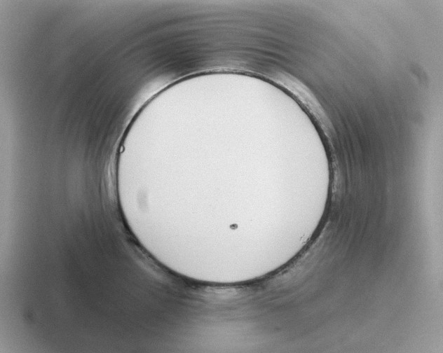 X0000116561242201001071129