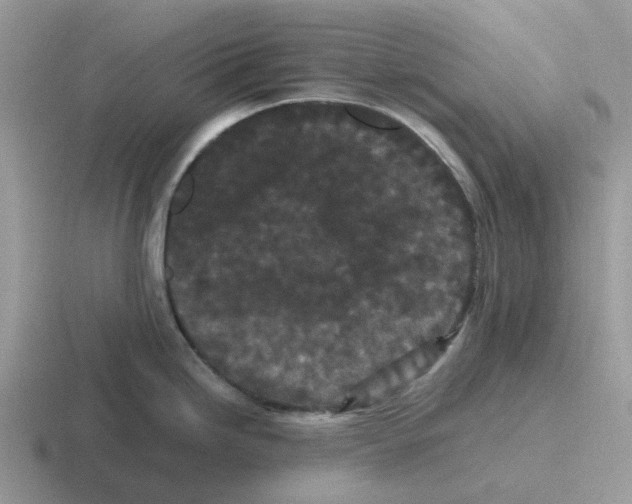 X0000116561246201001071129