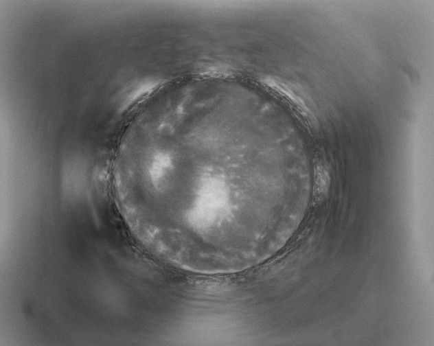 X0000116561254201001071128