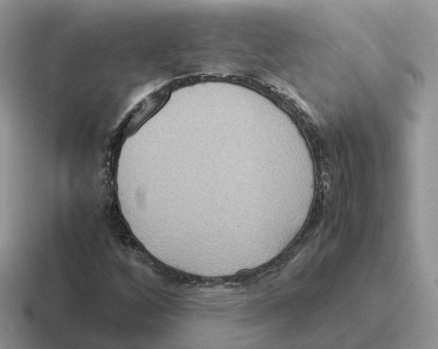 X0000116561256201001071128