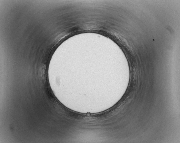 X0000116561265201001071128
