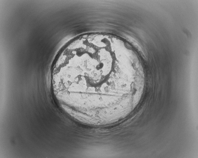 X0000116561275201001071128